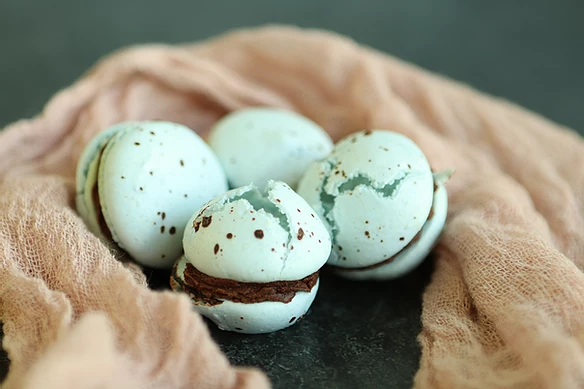 Robin's Egg Macarons
