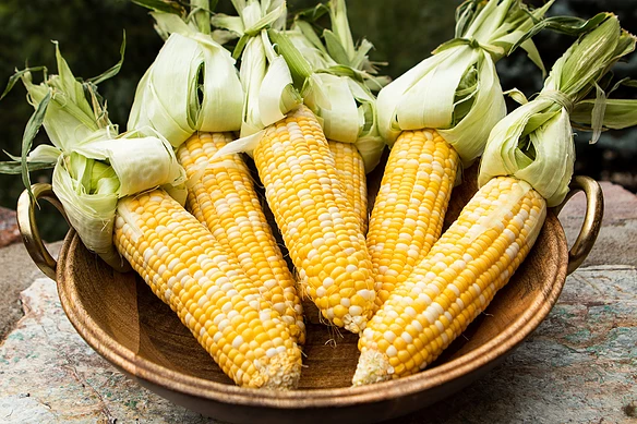 Grilled Mexican Street Corn (Elote Corn)