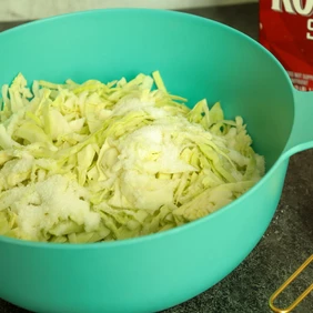 Easy Apple Coleslaw