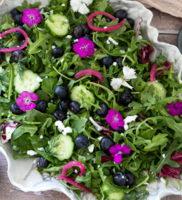 Blueberry Arugula Herb Salad