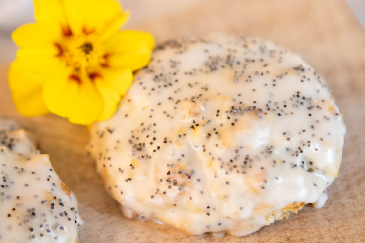 LEMON POPPYSEED SCONES